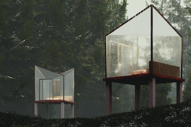Conceptual glass house visualization in a forest setting